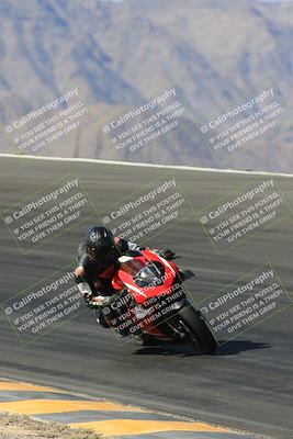 media/May-13-2023-SoCal Trackdays (Sat) [[8a473a8fd1]]/Bowl (840am)/